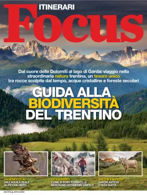 Focus (Italy)