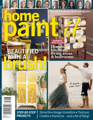copertina del libro Home Paint It