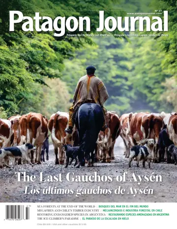 Patagon Journal - 2023年9月1日