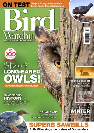 Bird Watching (UK) - 1 Mar 2023