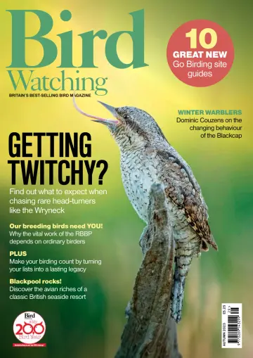 Bird Watching (UK) - 15 Sep 2023
