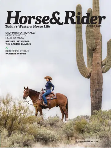 Horse & Rider - 20 Mar 2023