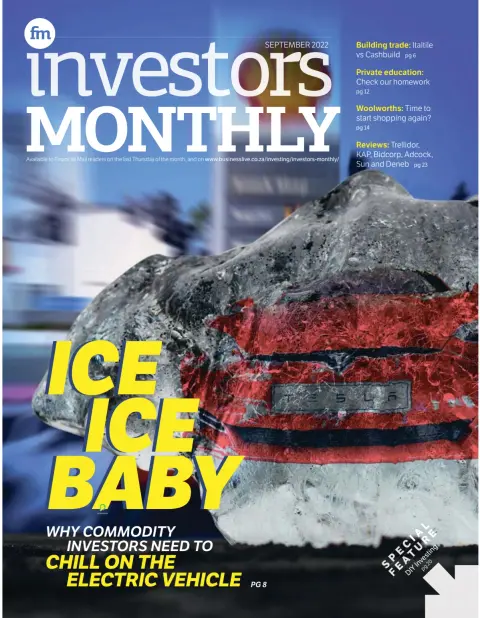 Financial Mail - Investors Monthly