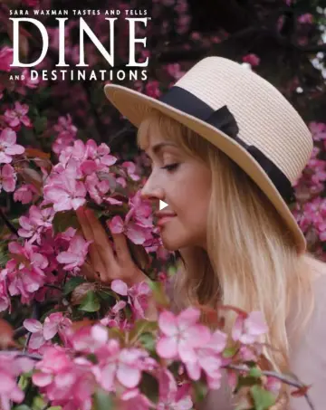 DINE and Destinations - 2023年4月17日