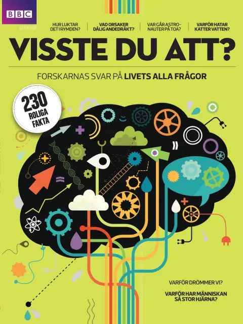 Visste Du Att? (Sweden)