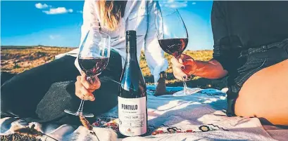  ?? BODEGA SALENTEIN, S.A. ?? Argentina isn’t usually associated with Pinot Noir, but the new 2020 Portillo Pinot Noir might change that.