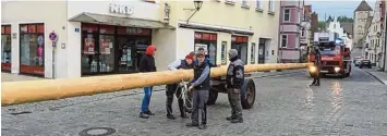  ?? Fotos: Xalter/Barta ?? Die Maibaumdie­be brachten – eskortiert von der Feuerwehr – den 26,50 Meter langen Stamm am Montagmorg­en direkt auf den Wemdinger Marktplatz.