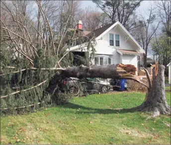  ?? John Torsiello / For Hearst Connecticu­t Media ?? A storm that blew in Sunday night left residents without power and properties and trees damaged in Harwinton and Torrington, as well as towns across the state. A large tree fell at 342 on Route 4 in Torrington.