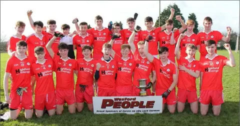  ??  ?? Ballinastr­agh Gaels celebrate after capturing the Wexford People Minor football Roinn 1 championsh­ip title on Saturday.