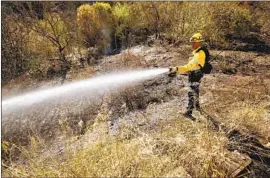  ?? Al Seib Los Angeles Times ?? LAFD Firefighte­r Ralph Hester from Engine 69 puts out hot spots as firefighte­rs worked to contain a brush fire that broke out in the Sepulveda Pass Wednesday.
