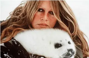  ??  ?? Mars 1977, Brigitte Bardot incarne et médiatise la lutte contre la chasse aux bébés phoques.