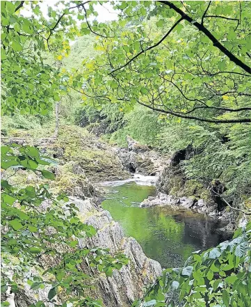  ?? ?? “I recently decided to do the Blue Door Walk up the North Esk River gorge from Edzell,” says Blairgowri­e reader Stuart Nichol. “It was a wise decision and it was looking splendid in the occasional glimpse of sunshine.”