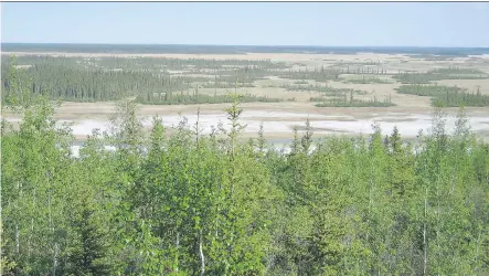  ??  ?? The federal and provincial government­s have returned 37 square kilometres of land around Garden Creek, which was appropriat­ed in 1922 to create the Wood Buffalo National Park to protect bison herds in northern Canada.