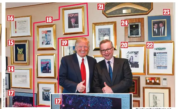  ??  ?? Thumbs up: Donald Trump and Michael Gove in ebullient mood