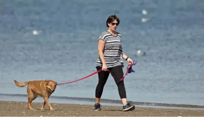  ?? MATT STONE / HERALD STAFF ?? DOGGONE GREAT WEATHER: A woman walks her dog on Wollaston Beach in Quincy as temperatur­es rise into the 70s on Monday.