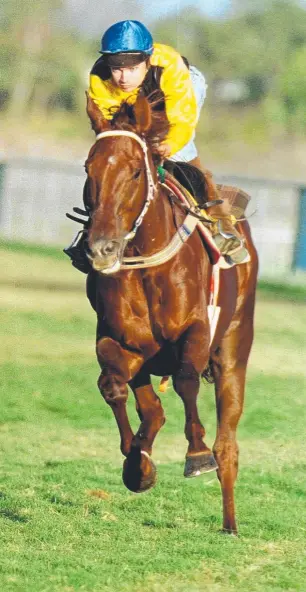  ??  ?? The style that took Alan Cowie from a young country jockey to a Group 1 winner.
