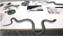 ??  ?? REPOGSLANG­ER: Vanna Bowles´ blyanttegn­inger er lagt ut på et bord med ulevende slanger. Hun har også med et hestehode i pappmaché.