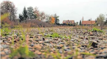  ?? FOTO: TOBIAS REHM ?? Das derzeit noch unbebaute ehemalige BayWa-Areal ist nicht Teil des Bebauungsp­lans, es grenzt aber direkt daran an.