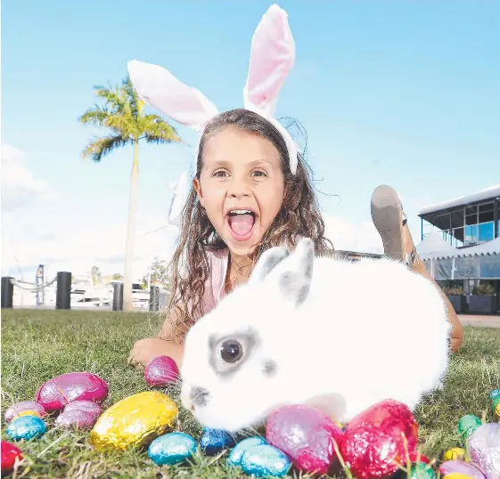 BUNNY ADDS SPARKLE TO EASTER FOR HALLEROSE PressReader