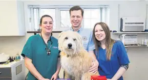  ??  ?? Staff at Parker and Crowther Vets have issued warnings about the dangers pets may face at Easter