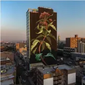  ?? MONA CARON ?? L’immenso murale realizzato a Jersey City