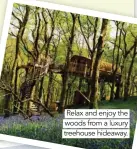  ?? ?? Relax and enjoy the woods from a luxury treehouse hideaway.