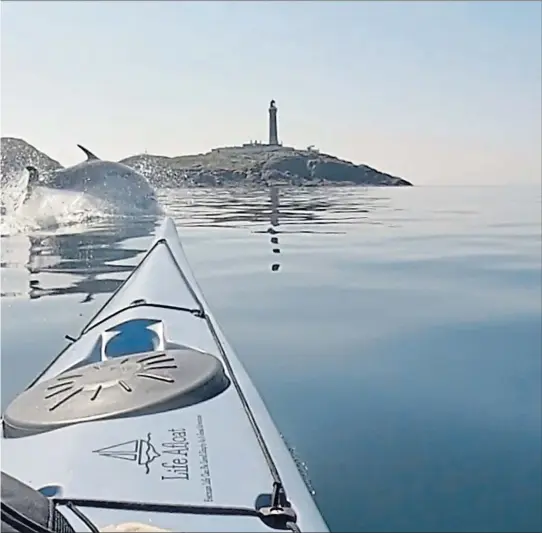  ??  ?? A dolphin frolics around Nick Ray’s kayak as it approaches Ardnamurch­an Lighthouse, Lochaber, in his video enjoyed around the world