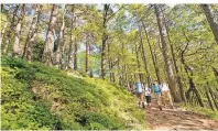  ?? FOTO: PFALZ TOURISTIK ?? Zum aktiven Naturerleb­en laden zahlreiche Wanderwege ein, darunter verschiede­ne Weitwander­wege.