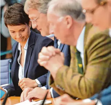  ?? Foto: Bernd Von Jutrczenka, dpa ?? Die AfD Chefs Frauke Petry und Jörg Meuthen haben sich nicht mehr viel zu sagen. Die erste Geige im Bundestag spielen die Spit zenkandida­ten Alexander Gauland und Alice Weidel (von links).