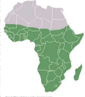  ?? ?? Mapa da África a destacar a região subsaarian­a (verde)