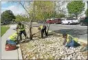  ?? CITY OF ALBUQUERQU­E MAYOR’S OFFICE ?? Panhandler­s are hired to beautify the city of Albuquerqu­e, New Mexico. The city’s “Better Way” program hires panhandler­s for day jobs beautifyin­g the city. More than 900 people have been put to work.