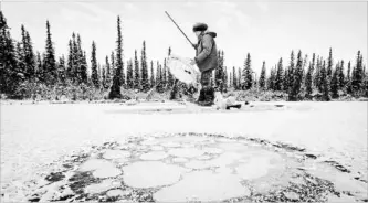  ?? JOSH HANER NEW YORK TIMES FILE PHOTO ?? A scientist studying the escape of methane works at a research site in Fairbanks, Ala., where methane is collecting beneath the ice in this 2011 photo. Old or ancient carbon being released from permafrost in the Arctic may already be making climate...
