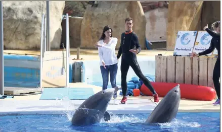  ?? (Photo Sébastien Botella) ?? En participan­t à cette expérience, les visiteurs pourront approcher les animaux de très près.