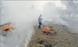  ?? AFP PHOTO ?? A farmer burns paddy stubble in a field on the outskirts of Jalandhar on Friday.
