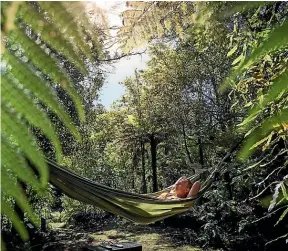  ??  ?? One of many hammocks tucked away along the walking tracks.