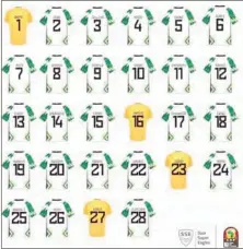 Revealed- Super Eagles Players Jersey Number For AFCON 2021