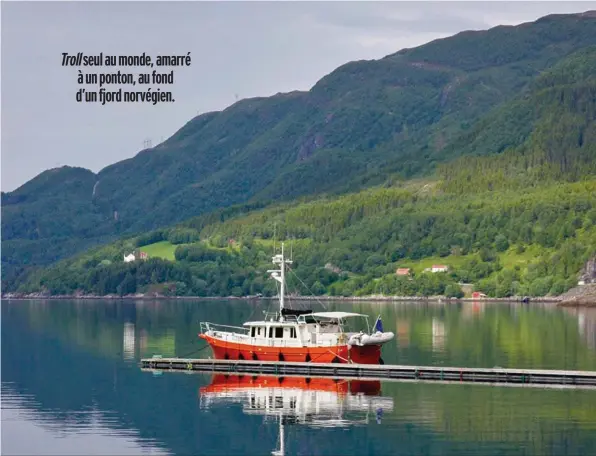  ??  ?? Troll seul au monde, amarré à un ponton, au fond d’un fjord norvégien.