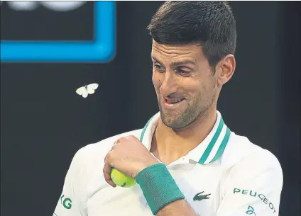  ?? FOTO: GETTY ?? Novak Djokovic recibió la visita de una mariposa durante el partido contra Karatsev, de nuevo con unos pocos aficionado­s en la pista