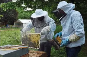  ??  ?? Début avril, 65 ruches ont été dérobées en Isère, puis 74 dans la Loire.