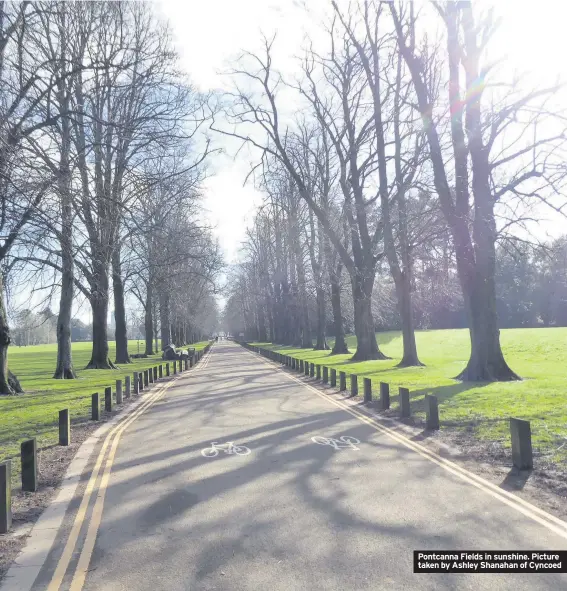  ??  ?? Pontcanna Fields in sunshine. Picture taken by Ashley Shanahan of Cyncoed