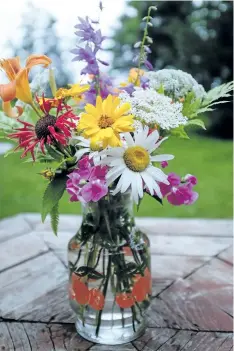  ??  ?? Gifted summer bouquet: daylily, shasta daisy, bee balm, bellflower, everlastin­g pea, Queen Anne’s lace and ferns in an impromptu juice jug vase.