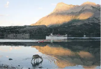  ??  ?? In Alberta’s lovely Waterton Lakes National Park you’ll find tons of wildlife, and you can take a cruise on the lake.