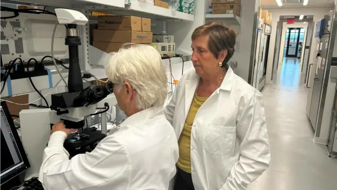  ?? UPMC ?? Olivera Finn, right, distinguis­hed professor of immunology and surgery at the University of Pittsburgh, works with senior staff scientist Pamela Beatty at her lab on campus.