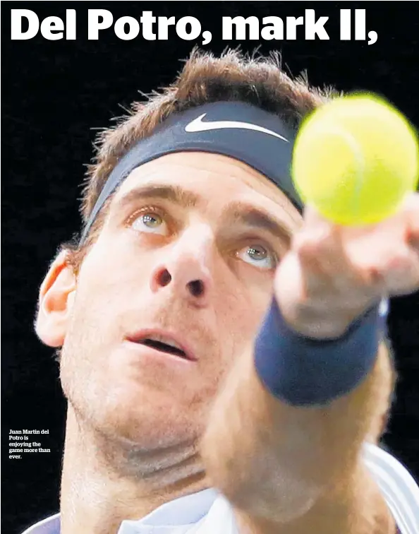  ??  ?? Juan Martin del Potro is enjoying the game more than ever.