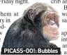  ??  ?? PICASS-OO!: Bubbles