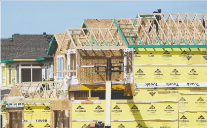  ?? DAVID BLOOM ?? The Alberta Regional Council of Carpenters and Allied Workers says many companies hire contract workers to outbid competitor­s, a strategy the union says is allowing bad actors to win contracts on some large public projects.