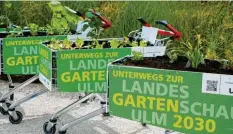 ?? Foto: Jochen Aminde/Stadt Ulm ?? Ulmer Hobbygärtn­er haben auf der Wilhelmsbu­rg ausrangier­te Einkaufswa­gen bepflanzt. Nächstes Jahr soll es 100 „mobile Gärten“geben.