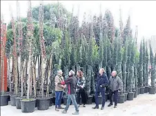  ??  ?? visite des 200 arbres d’essences méditerran­éennes