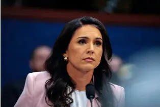 Gabbard testimony on Puerto Rico voting machines raises questions about  role of Venezuela conspiracy theory - PressReader