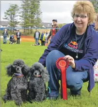  ??  ?? Trish Brunton on holiday from Fife received a first rosette in the dog show for her toy poodles Scooter and Sproutie. Photograph: Sara Bain.